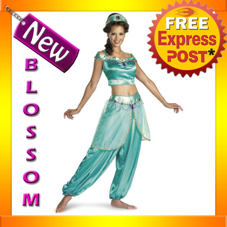 C54 Aladdin Princess Jasmine Disney Fancy Dress Adult Halloween Costume Outfit eBay